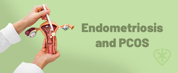 An image with text reading "Endometriosis and PCOS"