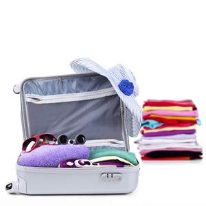 2in1 Portable Steam Iron
