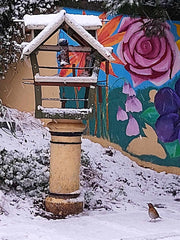 Home Made Bird House Near Trees and A Colourful Mural - Parade Handmade