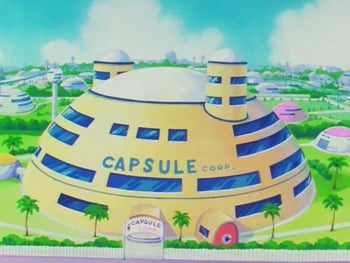 corporate capsule