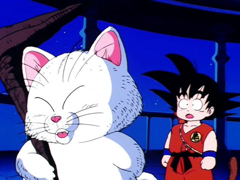 cat master karin with goku