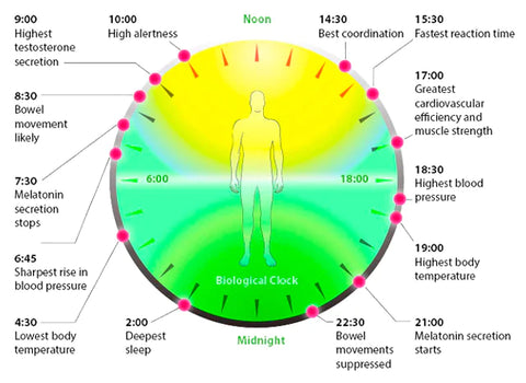 circadian-rhythm-better sleep with grounding