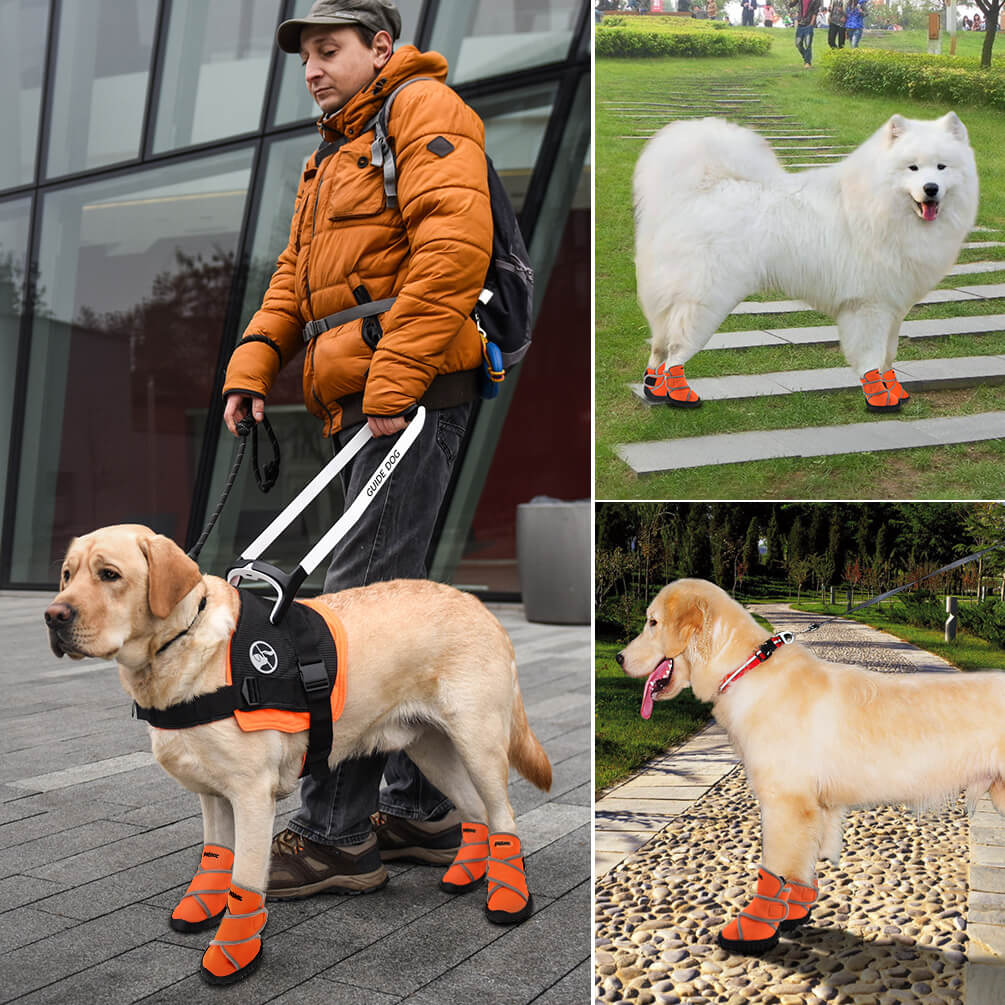 anti slip shoes for dogs