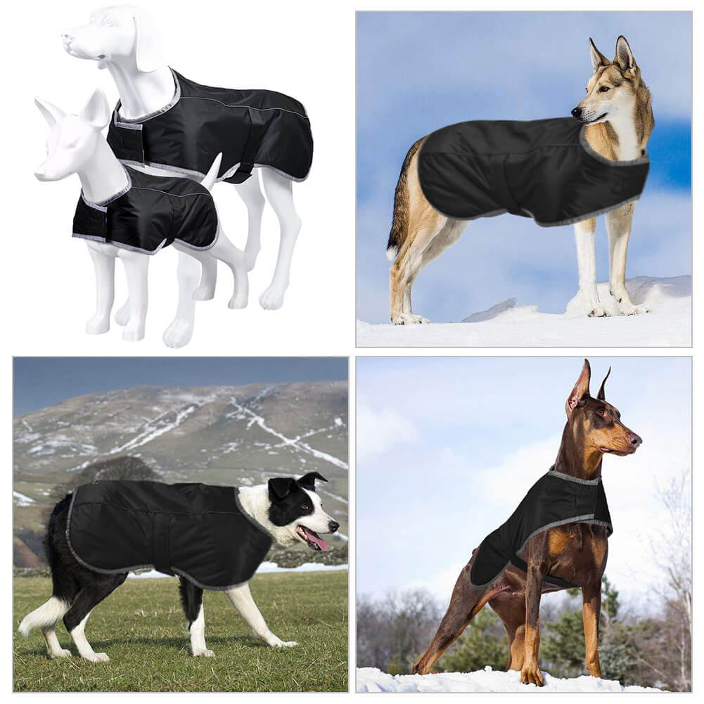 pet coats for dogs