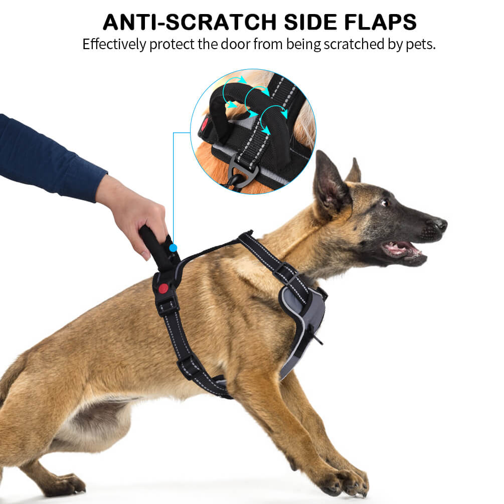 dog harness for walking