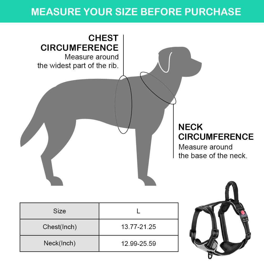 dog harness with chest ring