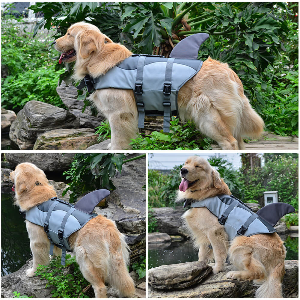 dog lifesaver jacket