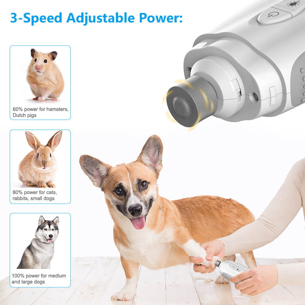 power dog nail trimmer