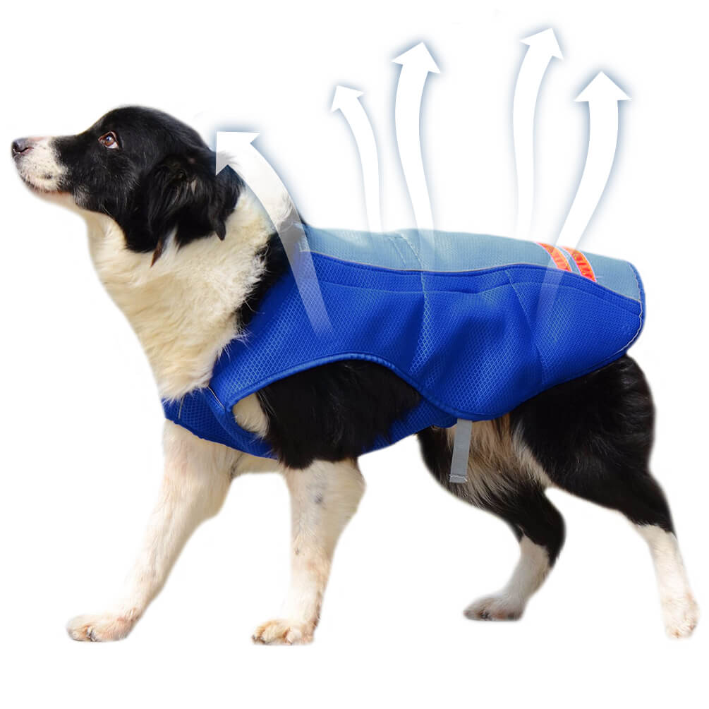 cooling jacket for dogs