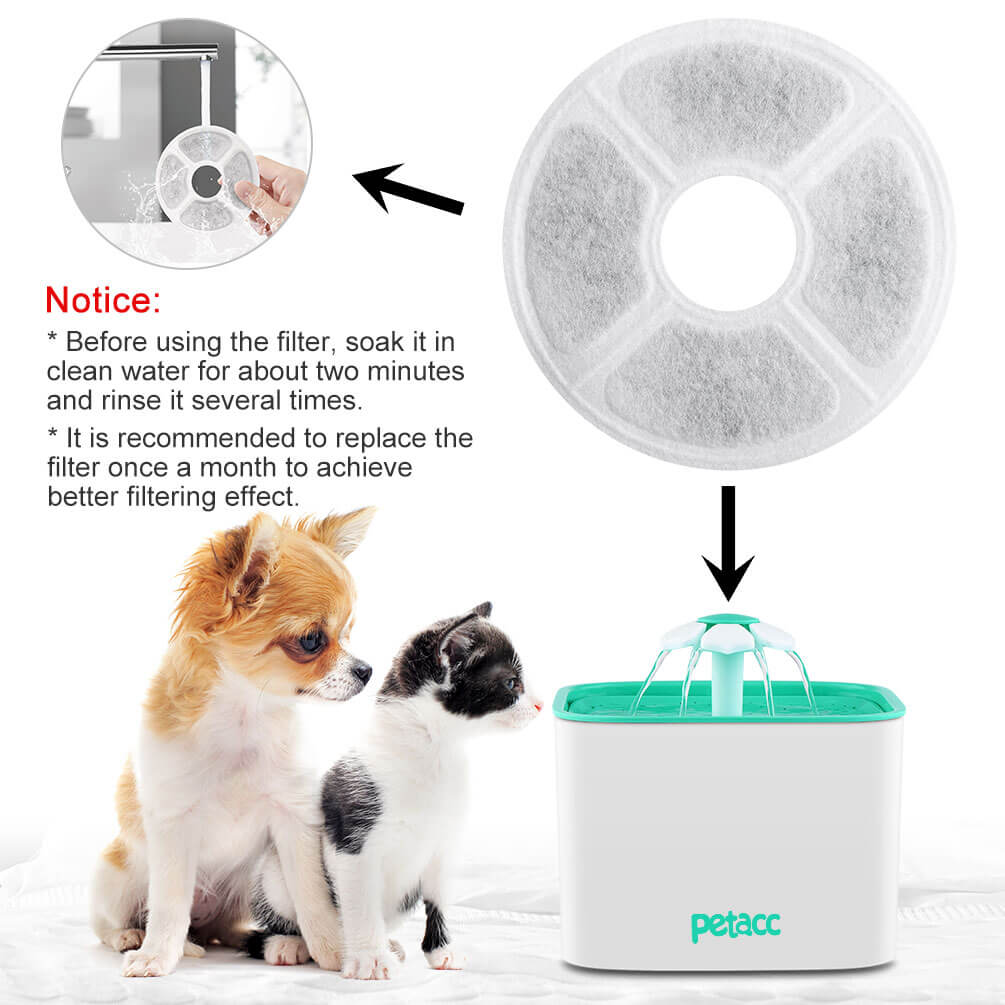pet water filter