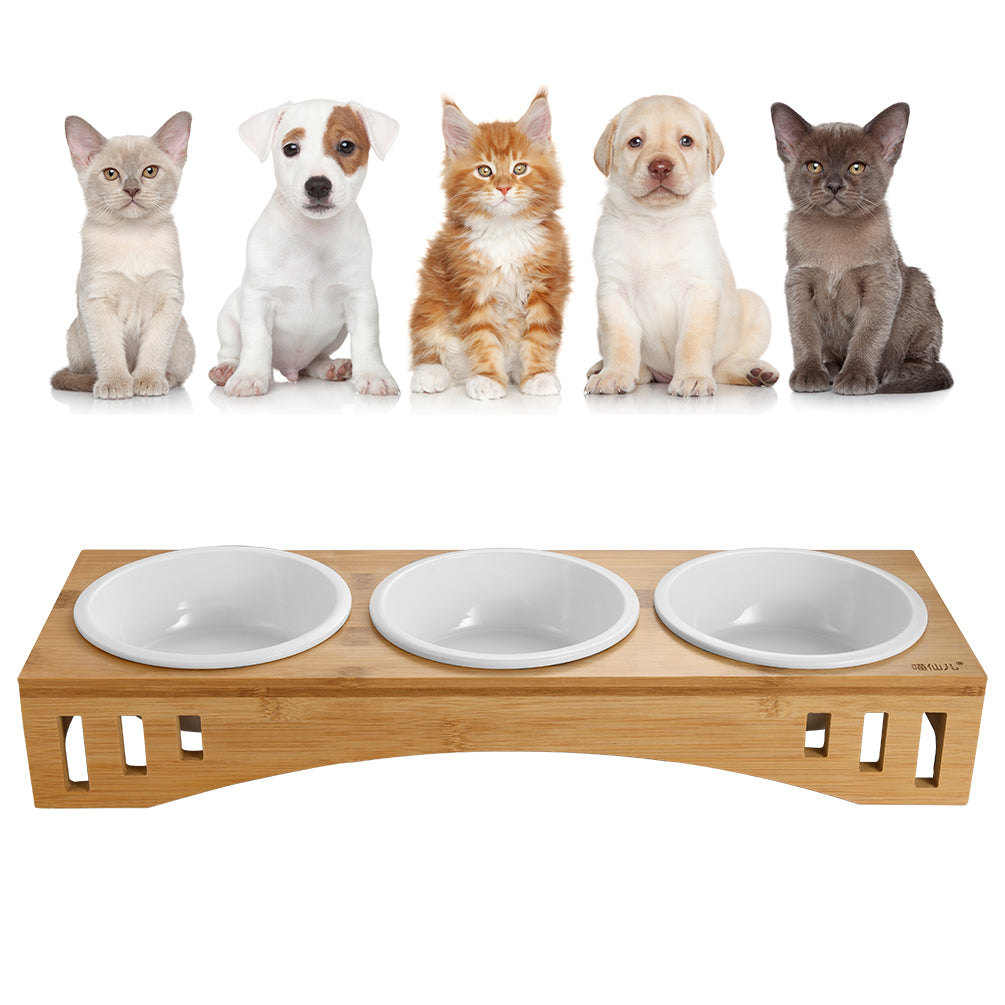 elevated dog feeder with ceramic bowls