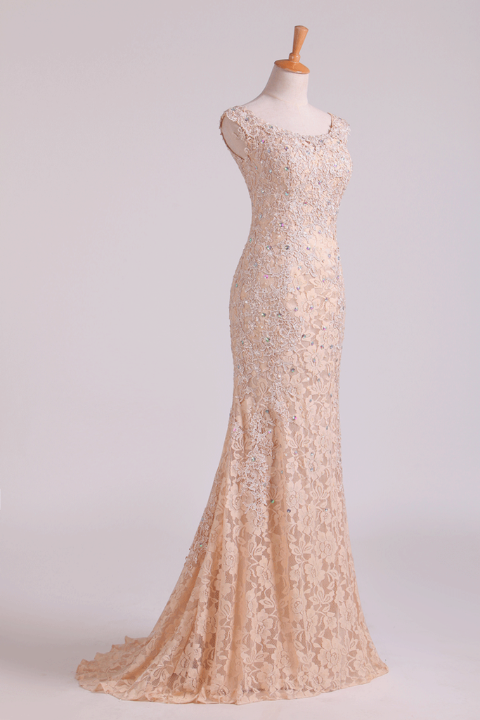 New Arrival Off The Shoulder Evening Dresses Lace With Applique & Beads ...