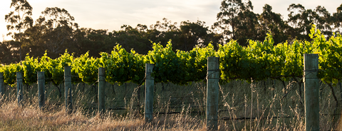 Great Southern Winery, Western Australia