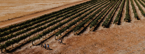 Great Southern Winery, Western Australia