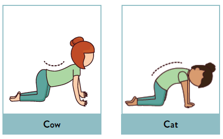 cat cow pose, cat cow pose, yoga poses for kids.