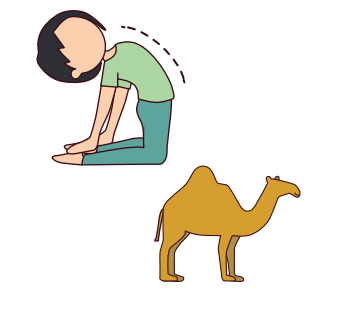 camel yoga pose