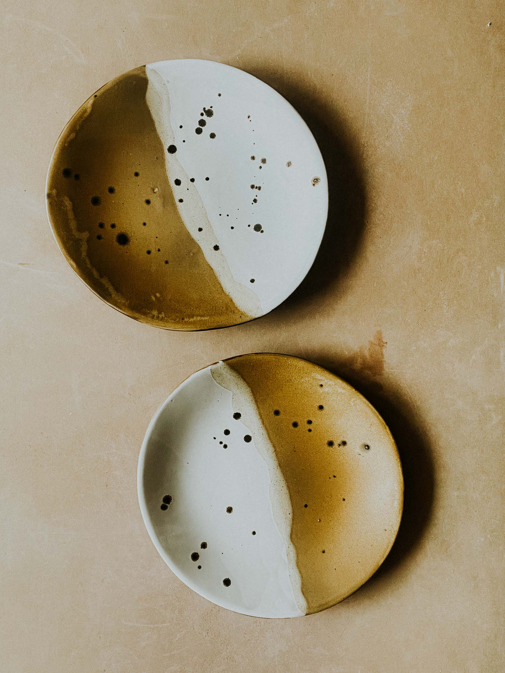 Set of Two Dinner Plates: White Gloss x Finch