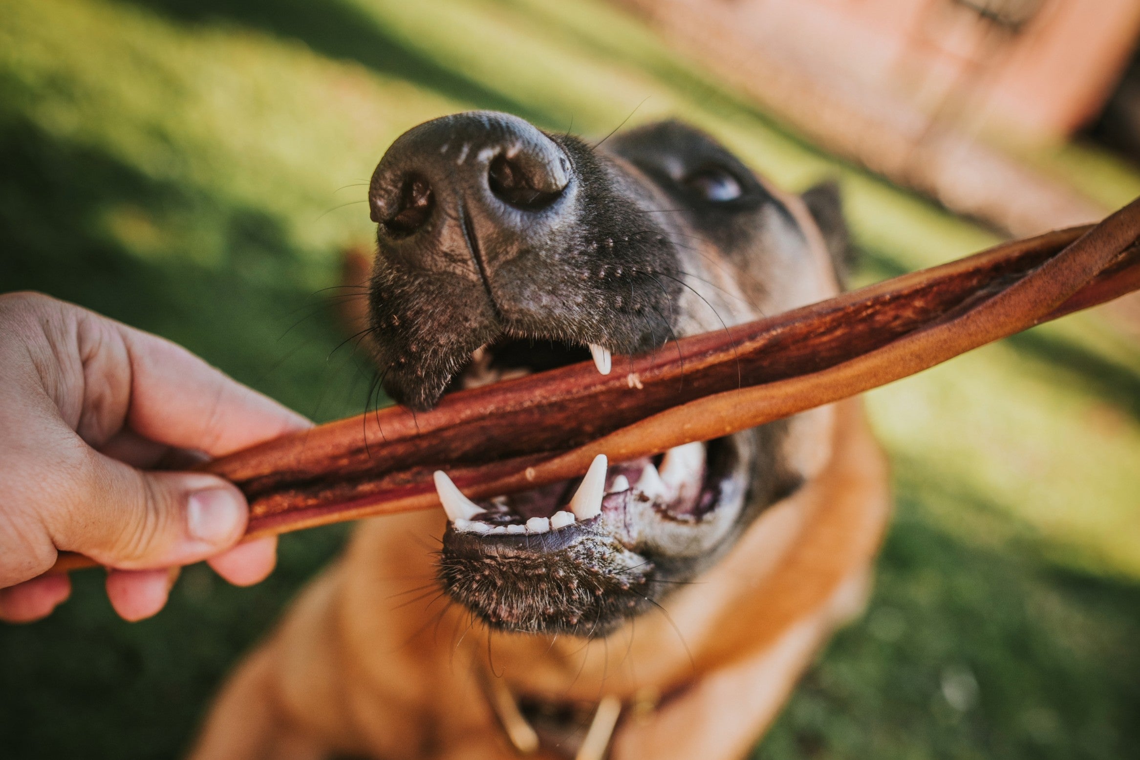 Bully Cheek Sticks