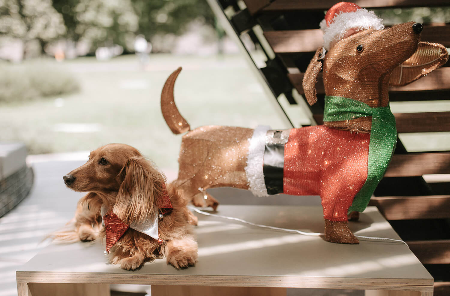 Santa Buddies