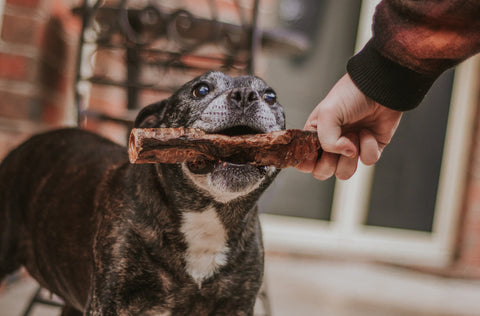 Treats and snackos