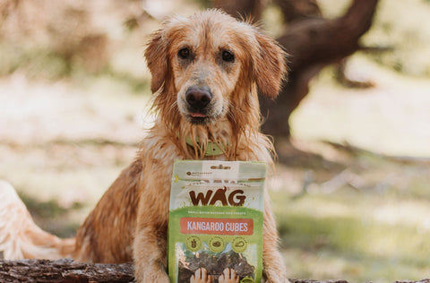 WAG natural dog treats