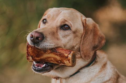 Why peanut butter is a good treat