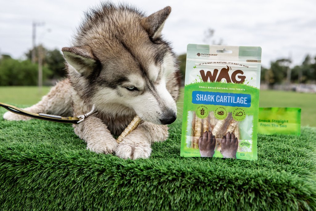 WAG - Shark Cartilage