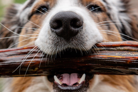 ingredient Dog treats