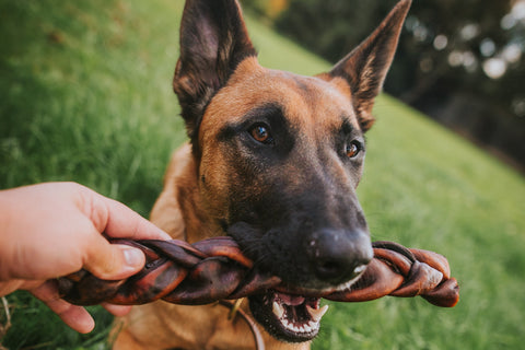 natural dog treats