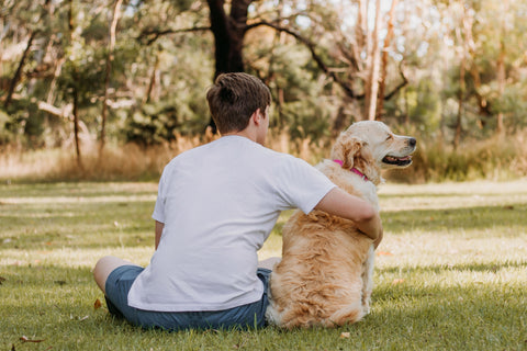 natural dog treats for healthy skin and coat