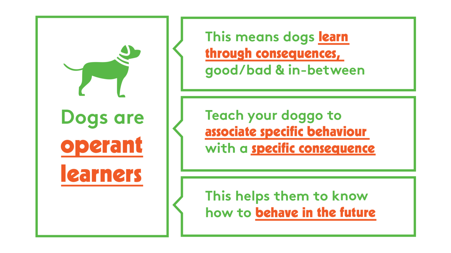 Dogs Are Operant Learners