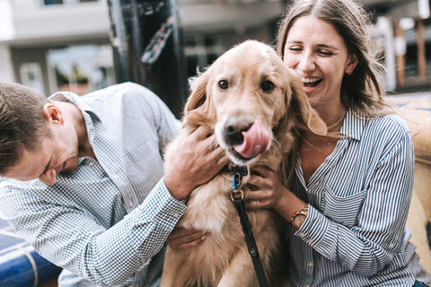 positive reinforcement with a tasty dog treat