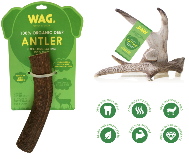 WAG - 100% Organic Deer Antler