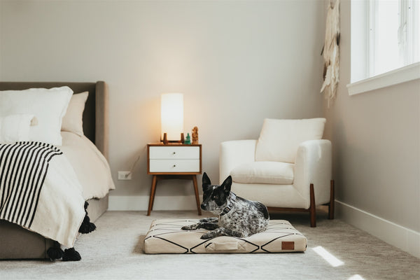 indoor durable dog bed