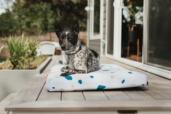 Modern outdoor dog bed