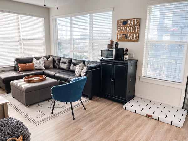 modern dog bed in the living room