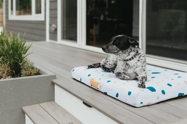 sun-resistant modern dog bed