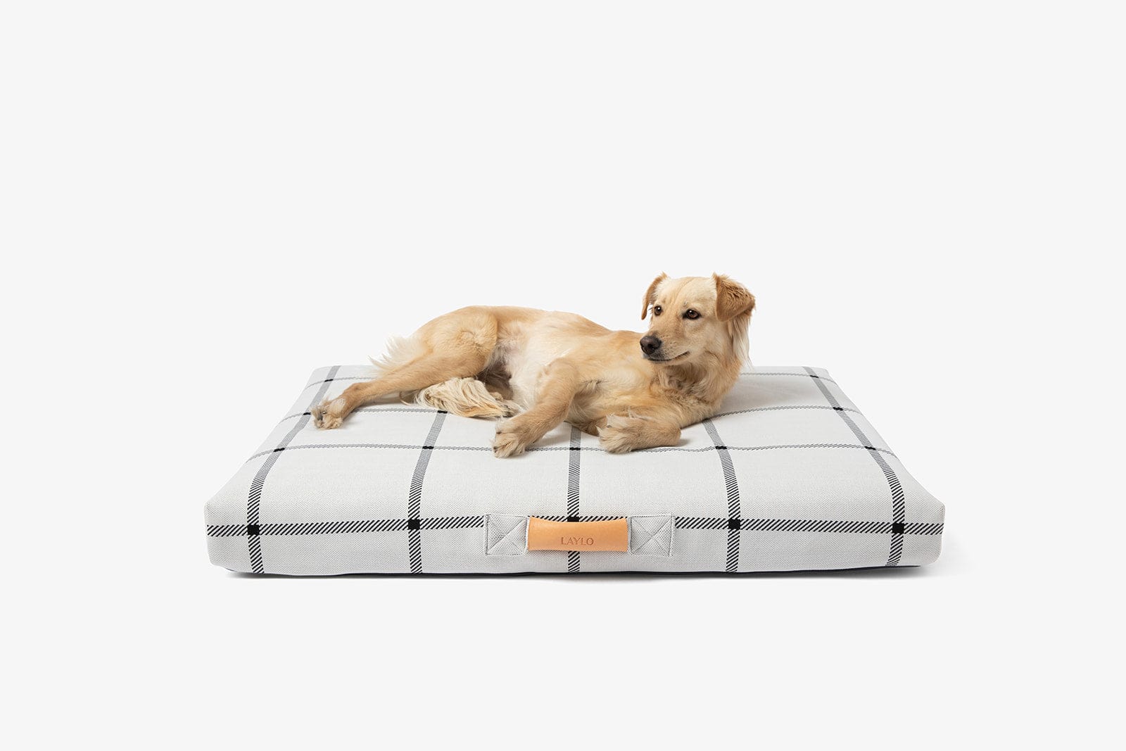 Louis Vuitton dog beds  Supreme lv beds for small to large dog