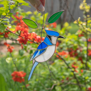 Blue jay bird on the branch window hanging of stained glass