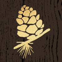 Pinecone Logo Trapper of Colorado