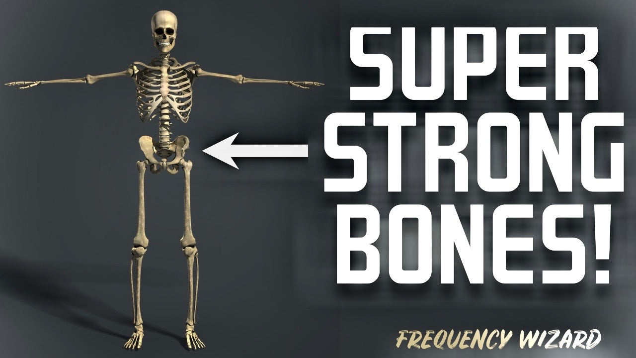 Strong bones. Making Bones. Strengthen Bones. Super strong. How can you make Bones strong.