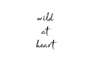 Wild at Heart Coupons & Promo codes