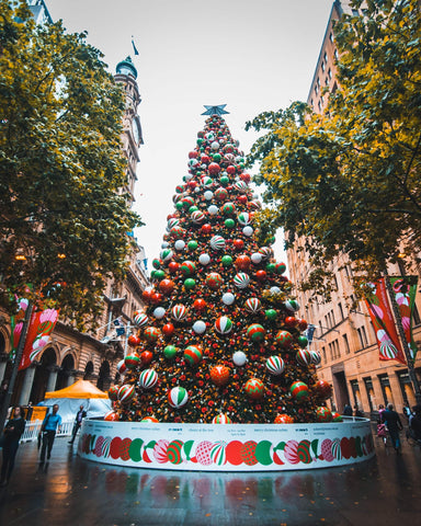 Darling Harbour Christmas Tree in Sydney Australia