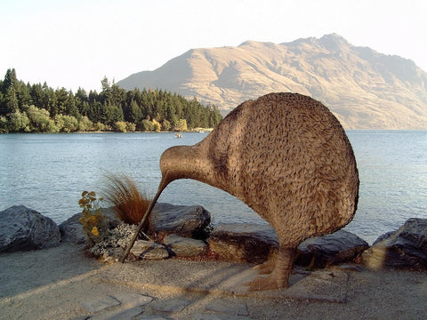 The flightless bird kiwi located in New Zealand