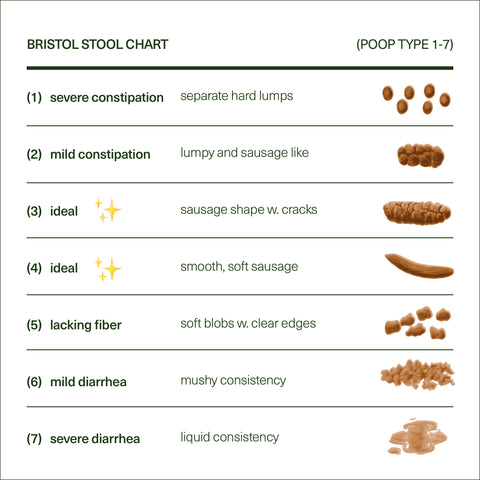 bristol stool chart for dogs