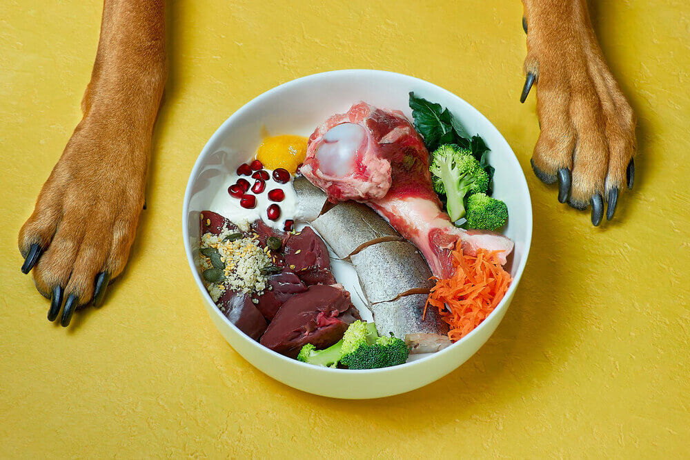 Hypoallergenic diet for Dog