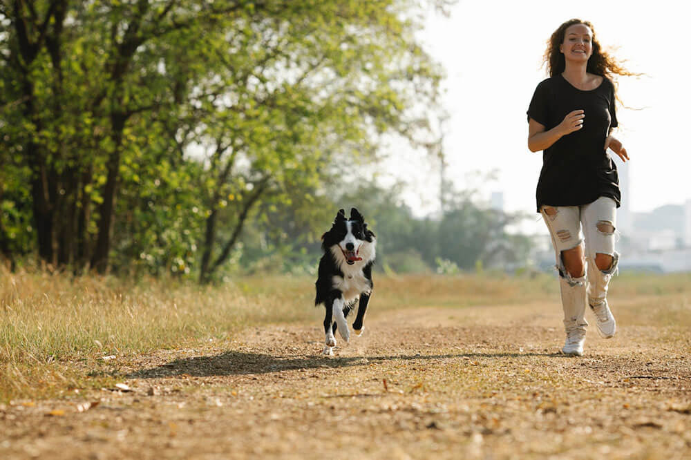 People and Dogs Jogging together