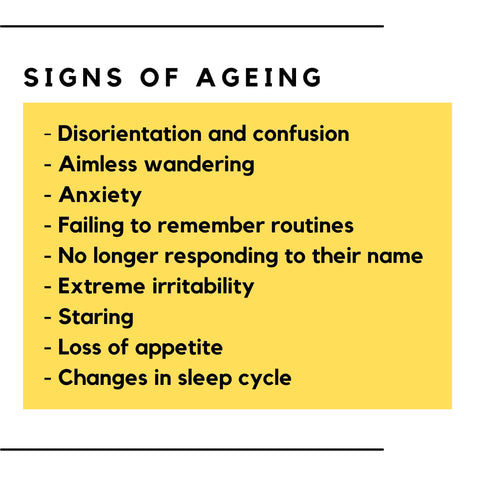 signs of ageing in dogs