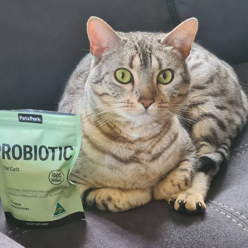 best prebiotic for cats