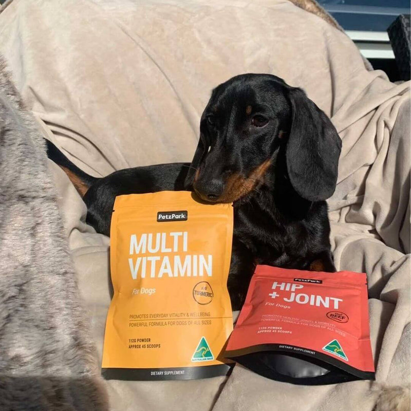 can you give dogs vitamins